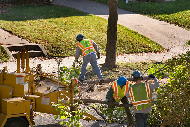 Trusted Galena, IN Tree Removal and Landscaping Services Experts